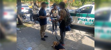 Imagen de Aclaran video en el que un hombre, supuestamente, drogaba a un perro: no caiga en información falsa