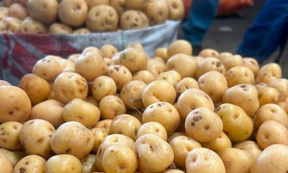 En riesgo abastecimiento de alimentos en Cali y el Valle