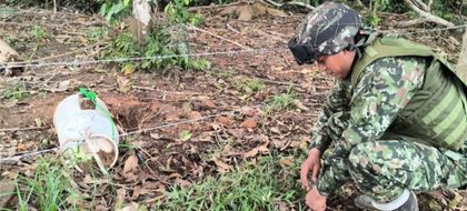 Imagen de  Ejército frustró nuevos atentados en Antioquia: ilegales lanzaron granadas en Valdivia e instalaron minas en Anorí