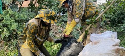 Imagen de  Avanza el plan para reverdecer a Medellín: intervinieron 1 200 000 metros cuadrados