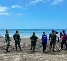 Cachalote varado en Bahía Solano generó emergencia ambiental