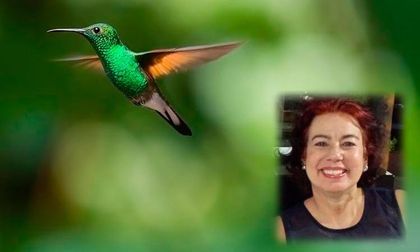 El Reto del Colibrí, una guía para reflexionar sobre la vida
