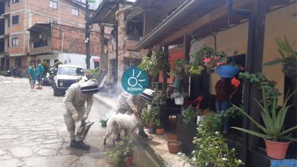 Imagen de  Ataque de abejas en Cocorná: caballo amarrado a un poste alborotó un panal