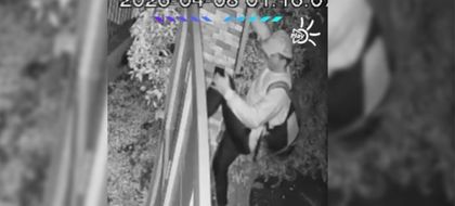 Imagen de En video: denuncian robo múltiple en dos fincas en zona rural de El Peñol