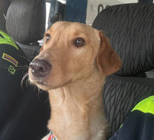 “Moisés” volvió a caminar en Palmira