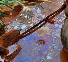 Afectaciones ambientales en Cali: denuncian daños en los ríos Lili y Meléndez y minería ilegal en La Leonera