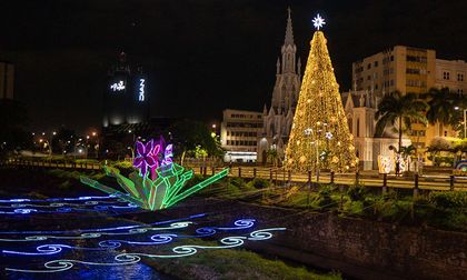 Cali encendió árbol de Navidad de 25 metros