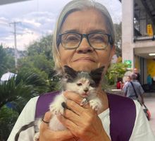 Captura por feminicidio en Cali: hijo de reconocida animalista María Nancy Díaz es enviado a prisión