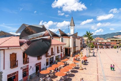 Imagen de  Estas son las restricciones de consumo de sustancias psicoactivas en espacio público en El Carmen