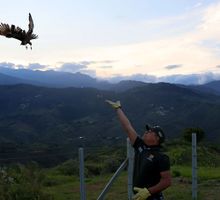 16 animales silvestres fueron liberados en el Ecoparque Cristo Rey
