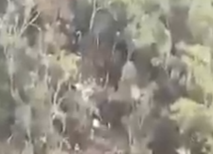 Imagen de En video: desde un helicóptero avistaron posibles restos de la aeronave desaparecida en Urrao