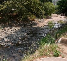 Desabastecimiento de agua en zona rural de Cali: seis sectores reportan dificultades y Distrito evalúa medidas ante El Niño