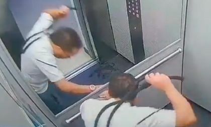 Nuevo caso de maltrato animal en ascensor fue captador en video; buscan al agresor
