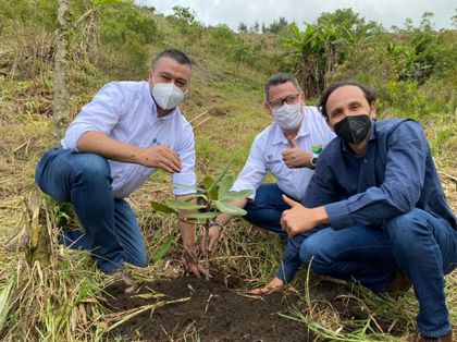 Imagen de  Unidos por el Planeta: la ANDI sembrará 5 mil árboles en Marinilla