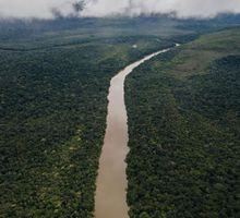 Amazonía colombiana disminuye la deforestación un 25% entre enero y septiembre de 2025, según Ideam