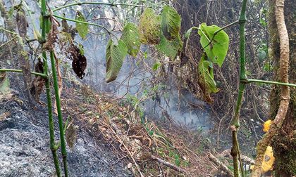 Valle del Cauca insiste ante la UNGRD por apoyo aéreo mientras continúan tres incendios forestales activos