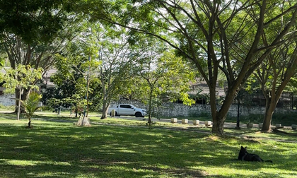 Municipios del Valle avanzan en la consolidación de Areas de Vida