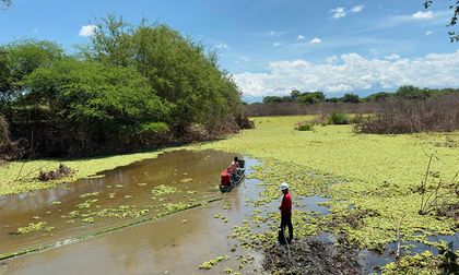 Valle del Cauca cuida sus humedales