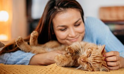 Cómo los gatos influyen en tu energía espiritual y emocional