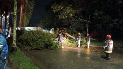 Imagen de Inundaciones, viviendas afectadas y caída de árboles: balance total tras las fuertes lluvias en La Ceja