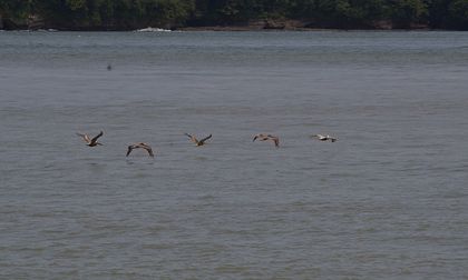 Confirman nuevo bombardeo a presunta narcolancha en el Pacifico