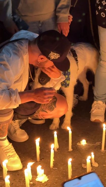 Imagen de  «Era innecesario»: continúan las voces de rechazo en Rionegro por perro muerto durante procedimiento policial