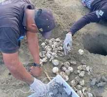 Santuario Acandí, Playón y Playona triplica su área protegida