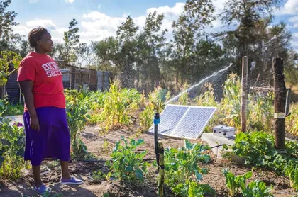 La tecnología revoluciona el modelo agrícola en países en desarrollo -  Revista Haz