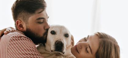 Imagen de  Senado aprueba la Ley Ángel para fortalecer la lucha contra el maltrato animal en Colombia. ¿Qué sigue?