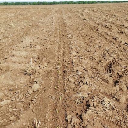 Imagen de  “Sin preparación, el verano arrasa”: la advertencia de ‘El Muñe’ Monsalvo al sector ganadero