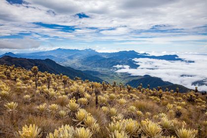 Imagen de ¿Reabrirán el turismo en el Páramo del Sol? La montaña más alta de Antioquia ajusta dos años de cierre