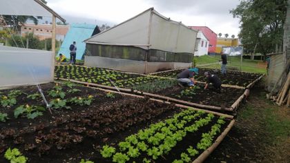 Imagen de  Programa de huertas agroforestales en La Ceja beneficia a 47 familias rurales y cinco instituciones educativas