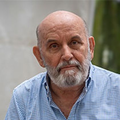 ¿Armitage, con aval del Verde?