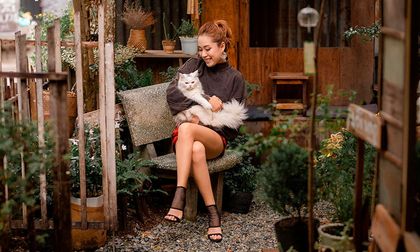 Mascotas y alergias: ¿Una relación imposible?