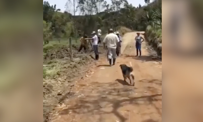 Imagen de  «Es una propiedad privada»: Hijo del ciudadano señalado de agredir a la comunidad en San Vicente