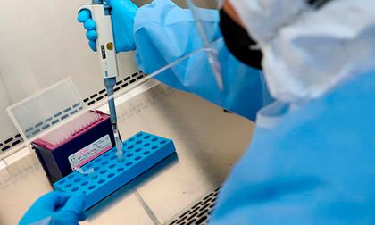 Brote de virus Nipah en India: lo que necesitas saber para entender la alerta mundial