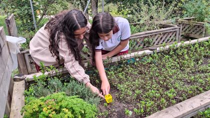 Imagen de  De El Retiro a Abu Dabi: proyecto de investigación escolar será presentado en evento internacional