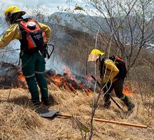 Colombia arde: incendios forestales afectan varias regiones y el Valle del Cauca reporta cerca de 50 casos