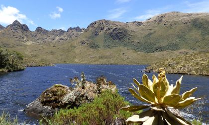 Areas protegidas bajo monitoreo tras el sismo