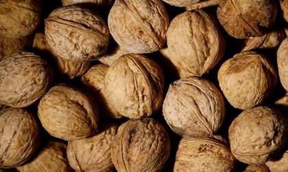 Conoce los beneficios de las nueces para la salud mental y emocional