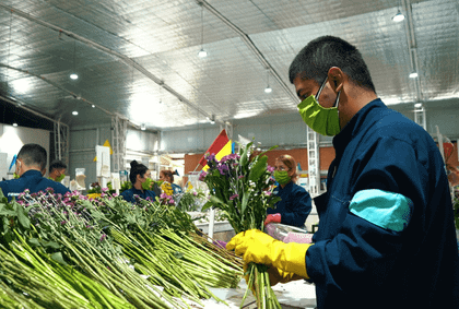 Imagen de  ¿Busca empleo? En el Oriente hay 350 vacantes