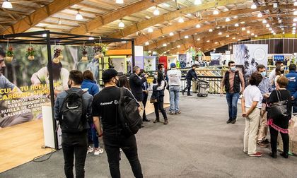 Expectativa por Feria Ambiental