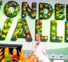 Infivalle congela tres cuotas del crédito Fonder Valle
