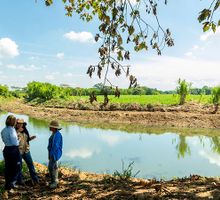 CVC y comunidad recuperan humedales en Bocas del Palo, Jamundí