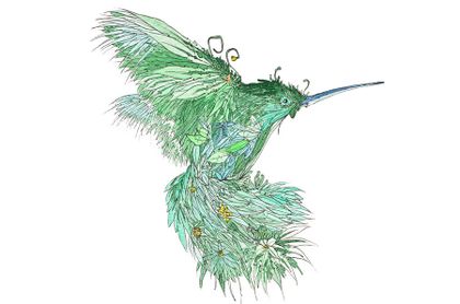 La fábula del Colibrí y el consumo responsable