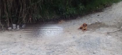 Imagen de En menos de 12 horas asesinaron a dos hombres en Rionegro y La Unión