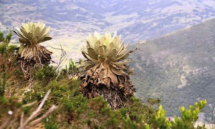 Una experiencia única en los Andes