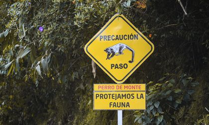 Instalan señal de tránsito de fauna en Vía al Mar