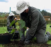 Medida incluye la participación empresarial