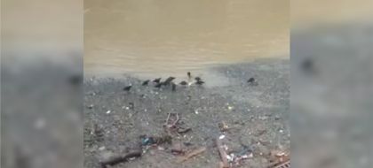 Imagen de Macabro hallazgo: autoridades extrajeron un brazo del río Medellín junto a la estación Acevedo